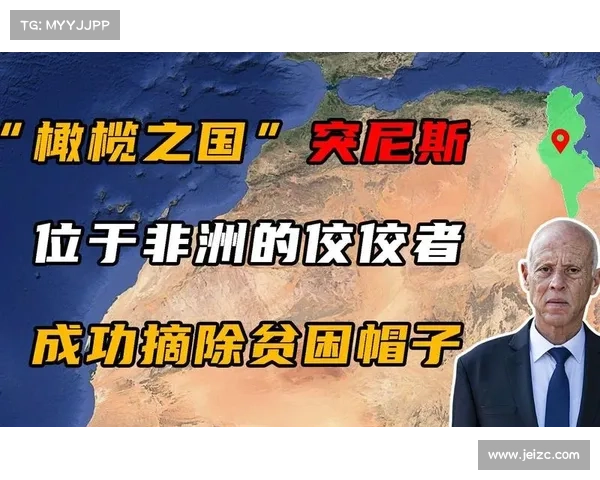 欧洲拉练:探索防守风格的差异突尼斯与荷兰的对比 欧洲拉练:探索防守风格的差异突尼斯与荷兰的对比